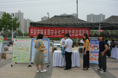 開封市林業(yè)局積極開展“安全生產(chǎn)咨詢?nèi)铡弊稍儸F(xiàn)場與服務(wù)創(chuàng)新傳遞綠色安全理念
